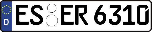 ES-ER6310