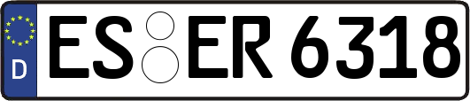 ES-ER6318