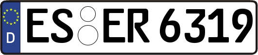 ES-ER6319