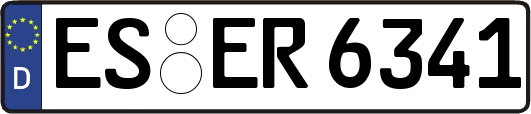 ES-ER6341