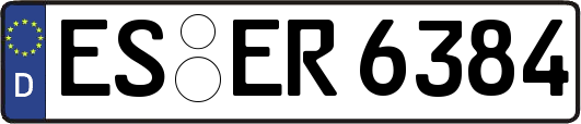 ES-ER6384
