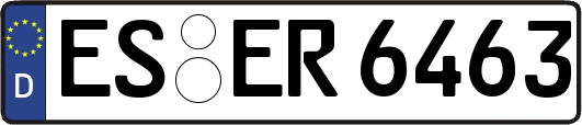 ES-ER6463