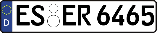 ES-ER6465