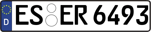 ES-ER6493