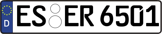 ES-ER6501