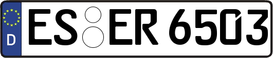 ES-ER6503