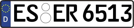 ES-ER6513
