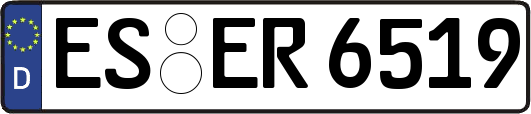 ES-ER6519