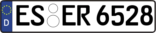 ES-ER6528