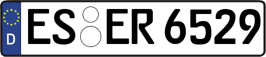 ES-ER6529