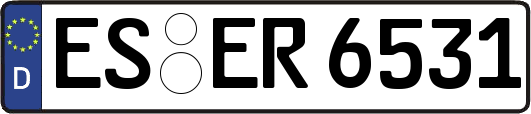 ES-ER6531