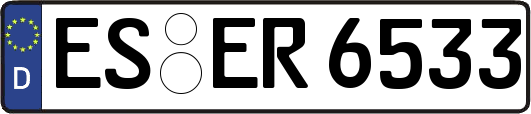 ES-ER6533