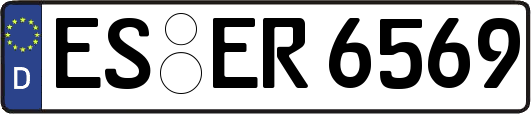 ES-ER6569