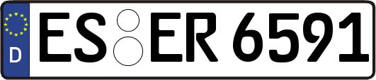 ES-ER6591