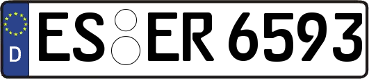 ES-ER6593