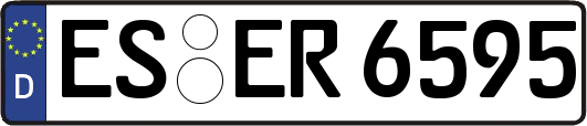 ES-ER6595