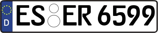 ES-ER6599