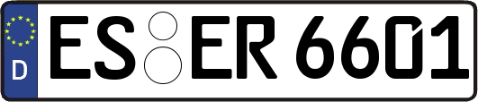ES-ER6601