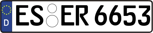 ES-ER6653