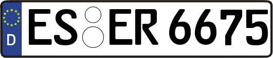 ES-ER6675