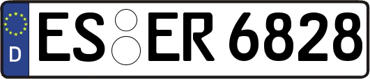 ES-ER6828
