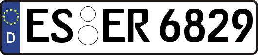 ES-ER6829