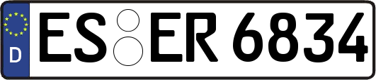 ES-ER6834
