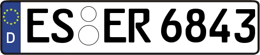 ES-ER6843