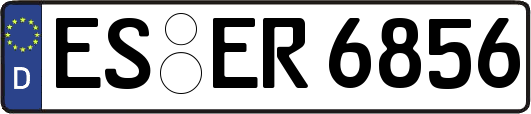 ES-ER6856