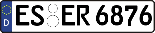 ES-ER6876
