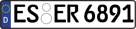 ES-ER6891