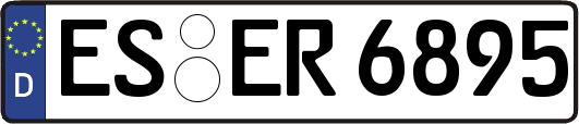 ES-ER6895