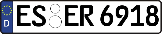 ES-ER6918