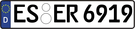 ES-ER6919