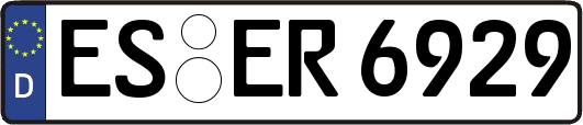 ES-ER6929