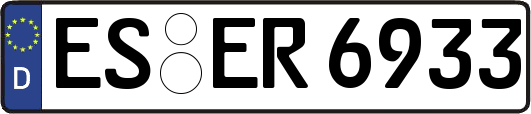 ES-ER6933