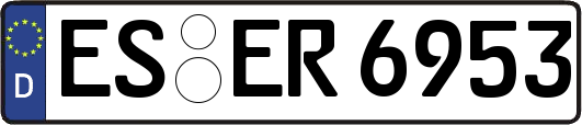 ES-ER6953
