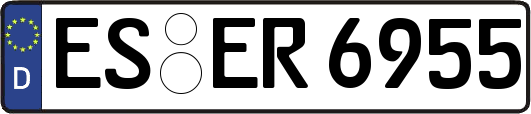 ES-ER6955