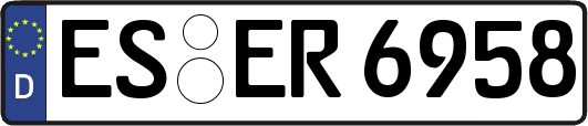 ES-ER6958