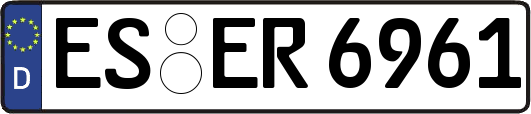 ES-ER6961