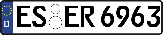 ES-ER6963