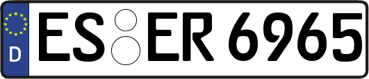 ES-ER6965