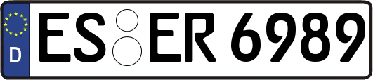 ES-ER6989
