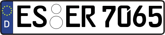 ES-ER7065