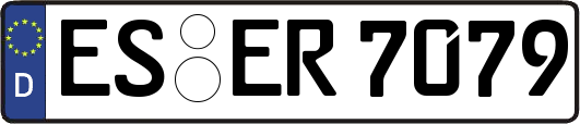 ES-ER7079