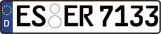 ES-ER7133