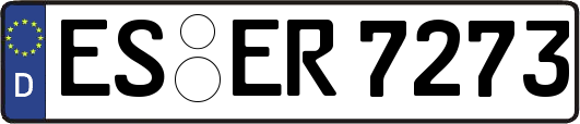 ES-ER7273