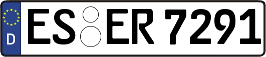 ES-ER7291