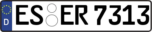 ES-ER7313