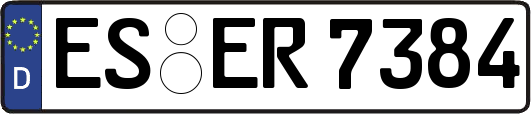 ES-ER7384